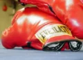 best boxing gloves